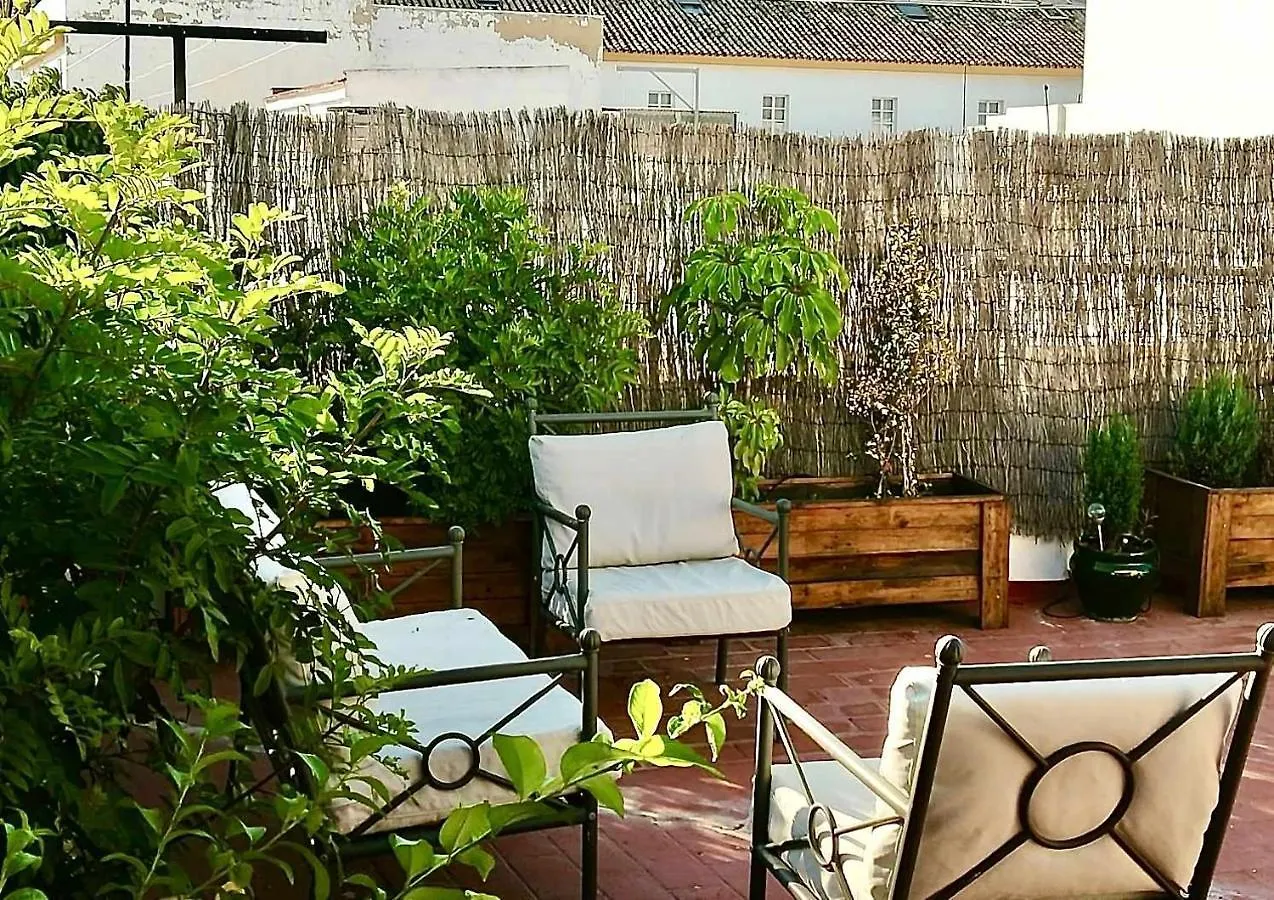 Casa Las Canas Puerto De Santa Maria El Puerto de Santa Maria Apartment